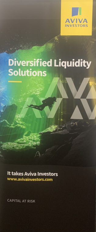 AVIVA DLS PULL UP BANNER